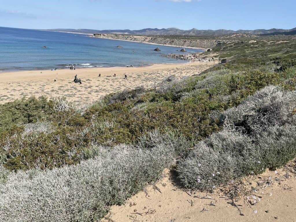 Aspire Private British School Paphos Cyprus - Year 12 A level Geography students visited Lara Bay in the Akamas 4 Aspire Private British School Paphos Cyprus - 1000137853