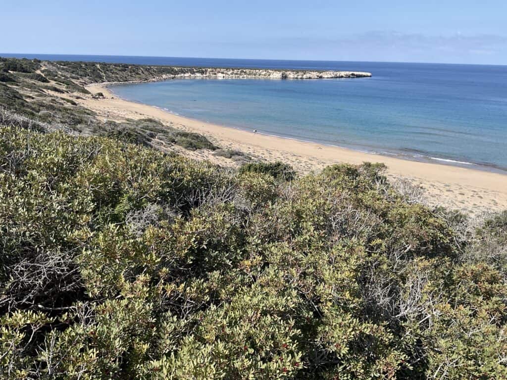 Aspire Private British School Paphos Cyprus - Year 12 A level Geography students visited Lara Bay in the Akamas 5 Aspire Private British School Paphos Cyprus - 1000137854