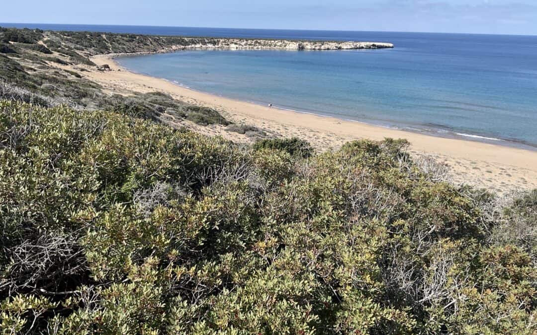 Year 12 A level Geography students visited Lara Bay in the Akamas