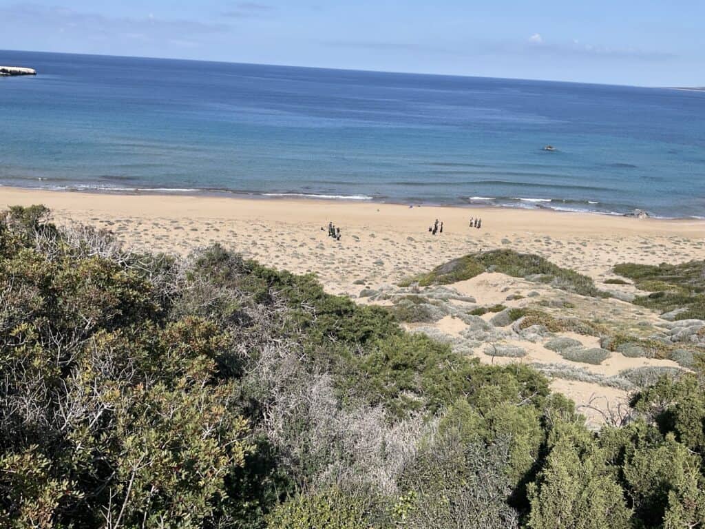 Aspire Private British School Paphos Cyprus - Year 12 A level Geography students visited Lara Bay in the Akamas 7 Aspire Private British School Paphos Cyprus - 1000137856