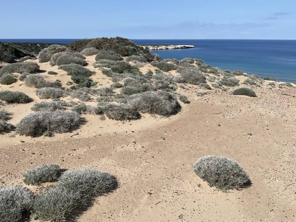 Aspire Private British School Paphos Cyprus - Year 12 A level Geography students visited Lara Bay in the Akamas 8 Aspire Private British School Paphos Cyprus - 1000137857